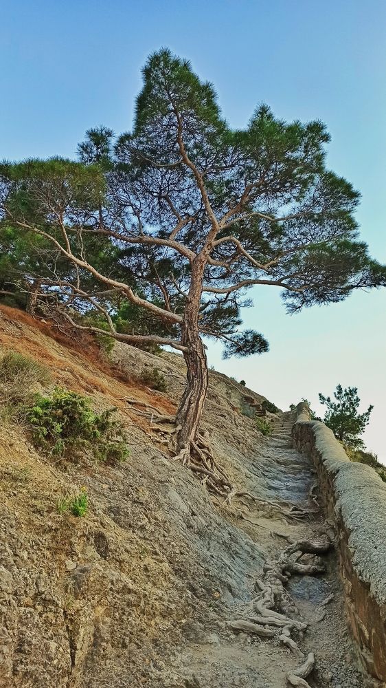 Photograph by Сергей Жигульский