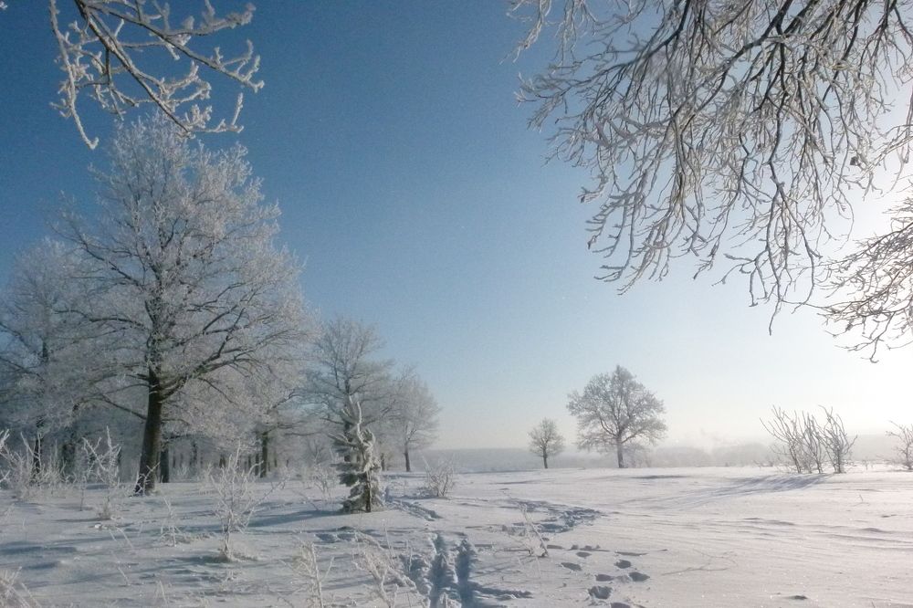 Photo #7163491