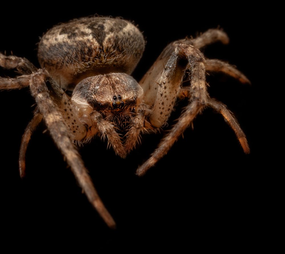 Фотография автора Константин Яковлев