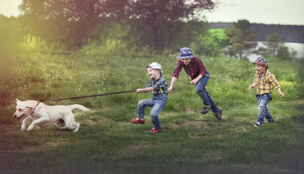 Photograph by Вадим Леонтьев