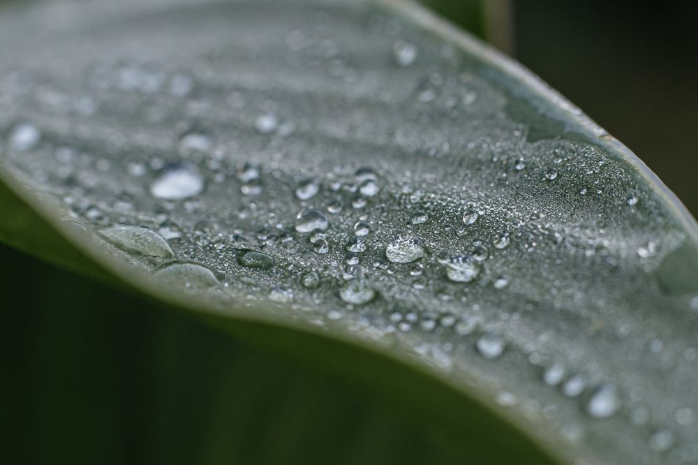 Фотография автора Masl Tatyana