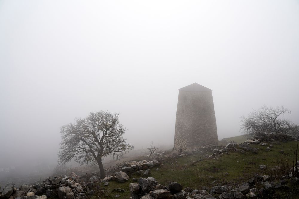 Photograph by Соломкина Виктория