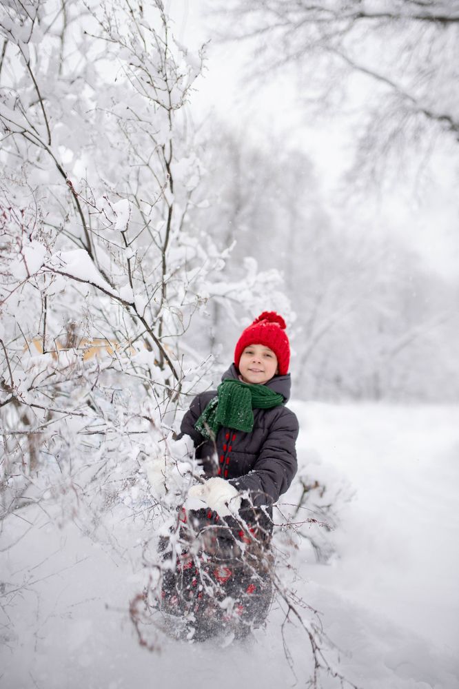 "Зимняя прогулка"