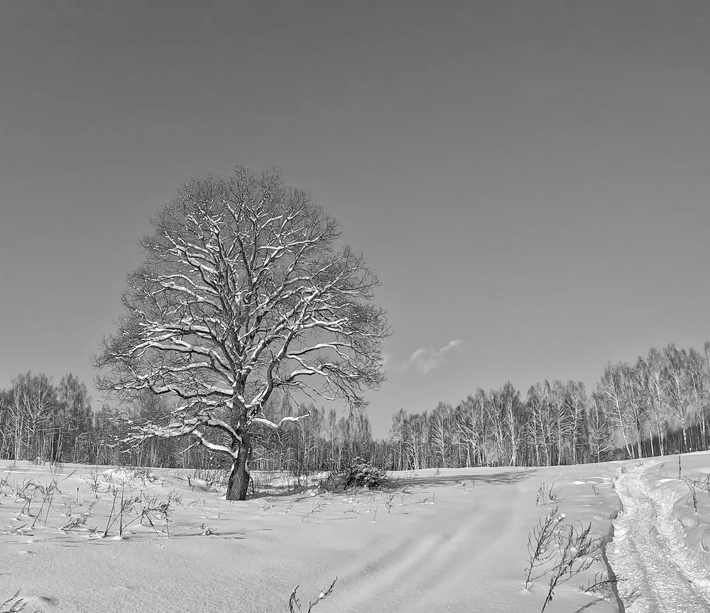 Photograph by Светлана Максимова