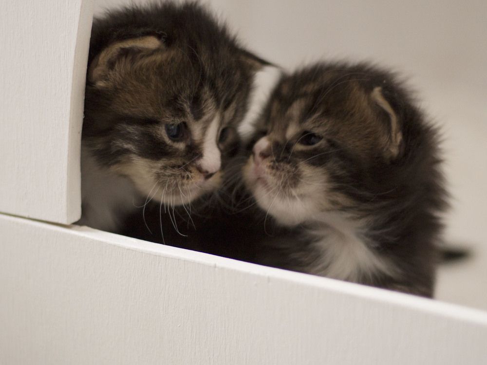 Photograph by Ирина Мамонова