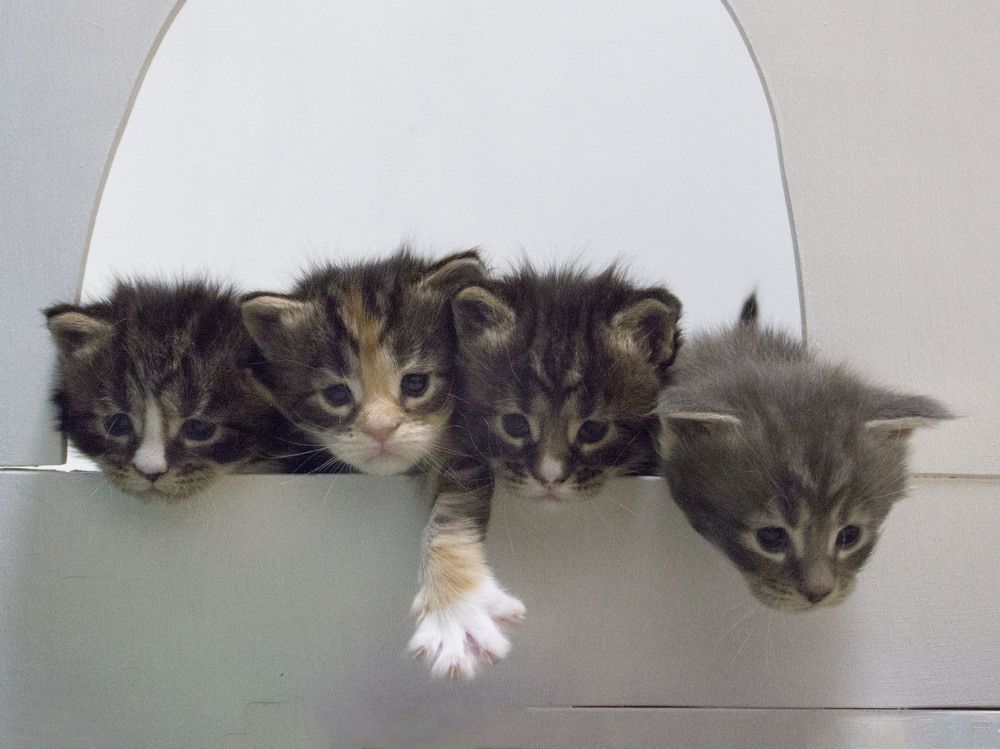 Photograph by Ирина Мамонова