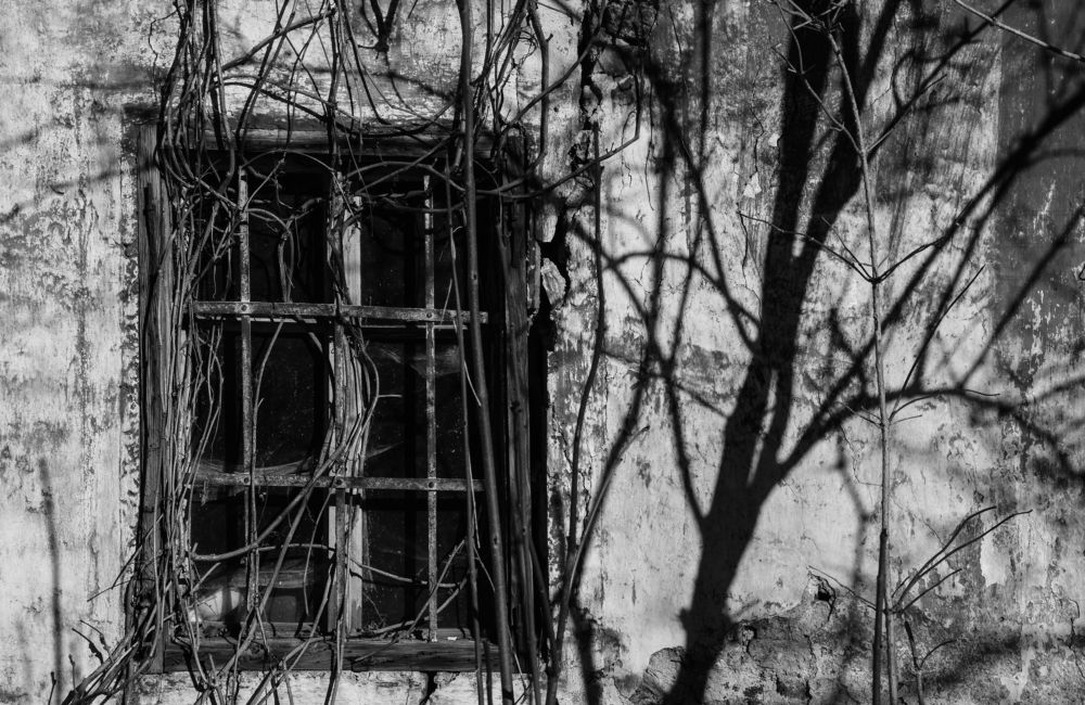 Photograph by Karolina Navodnik