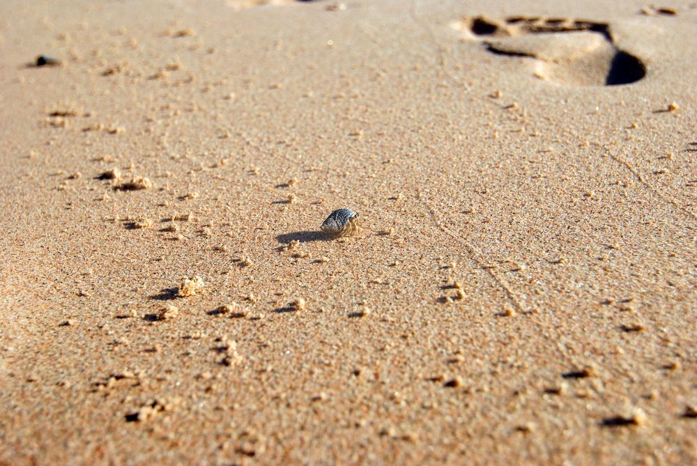 Photograph by Igor Ryzhov