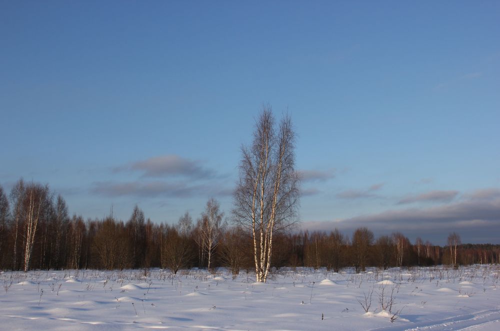 Photograph by Волкова Владимира