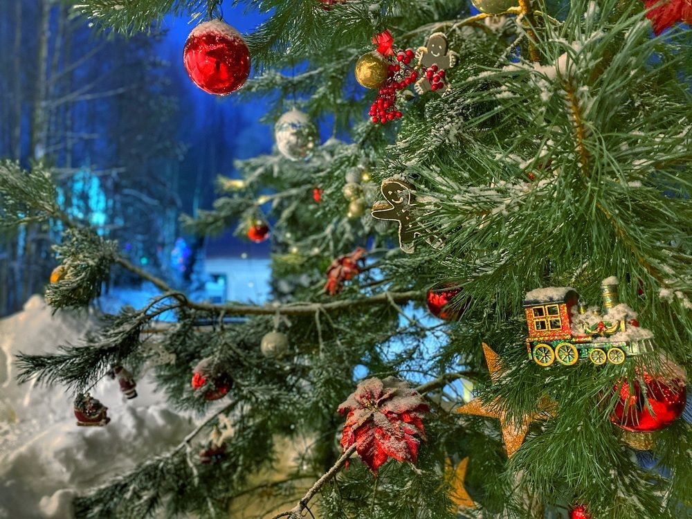 Фотография автора Ольга Клюева