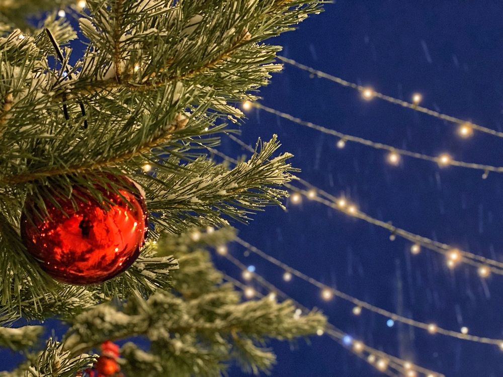 Фотография автора Ольга Клюева