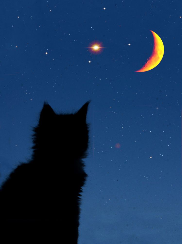 Photograph by Ирина Мамонова