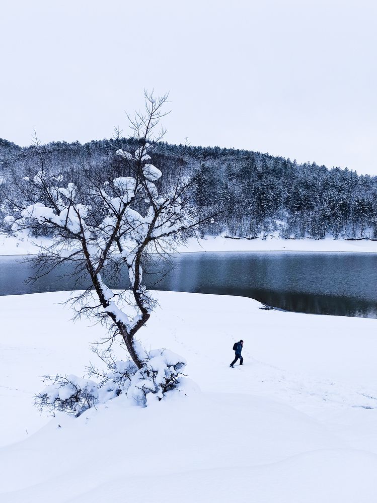 Photograph by Анна Корытина