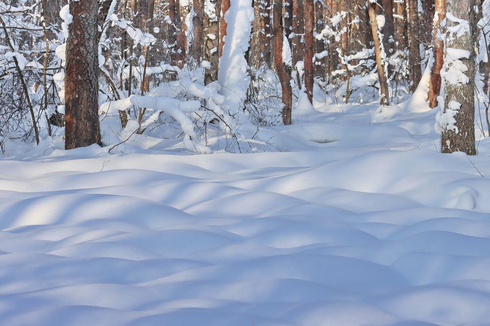 Photograph by Крылов Владимир