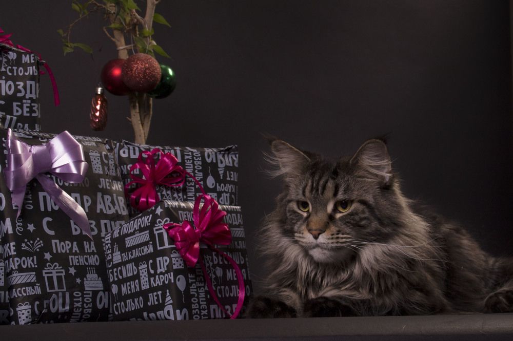 Photograph by Ирина Мамонова