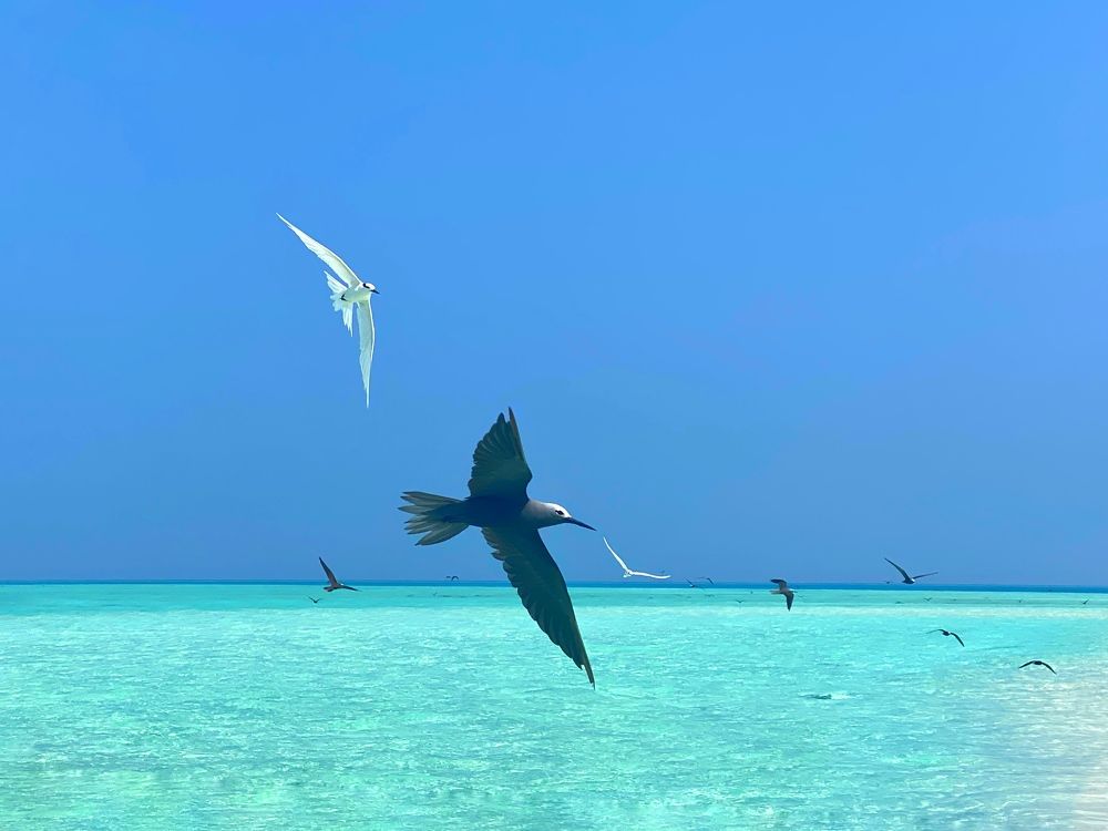 Фотография автора Ольга Клюева