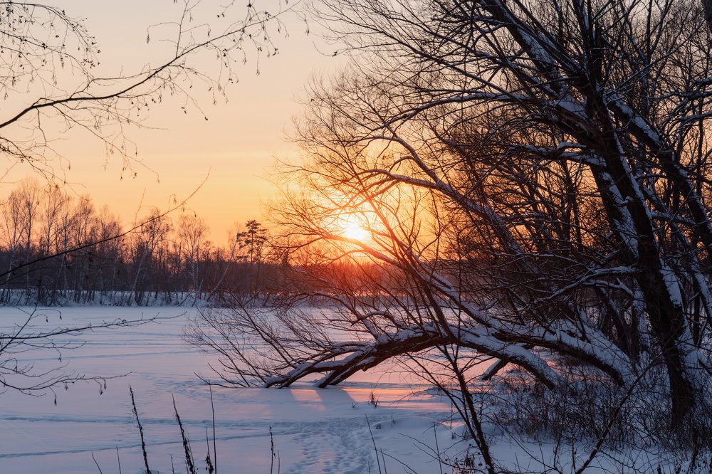 Photograph by Алена Устинович