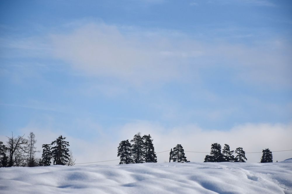 Photograph by Karolina Navodnik