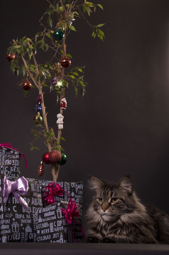 Photograph by Ирина Мамонова