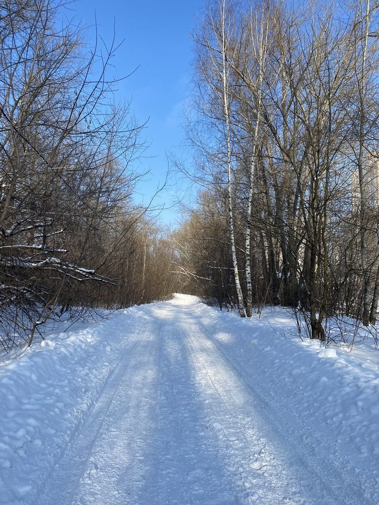 Photograph by Светлана Ионова