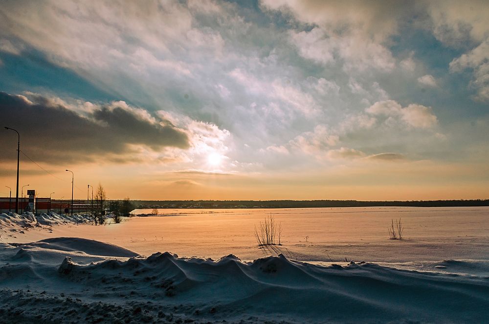 Фотография автора Елена Савельева