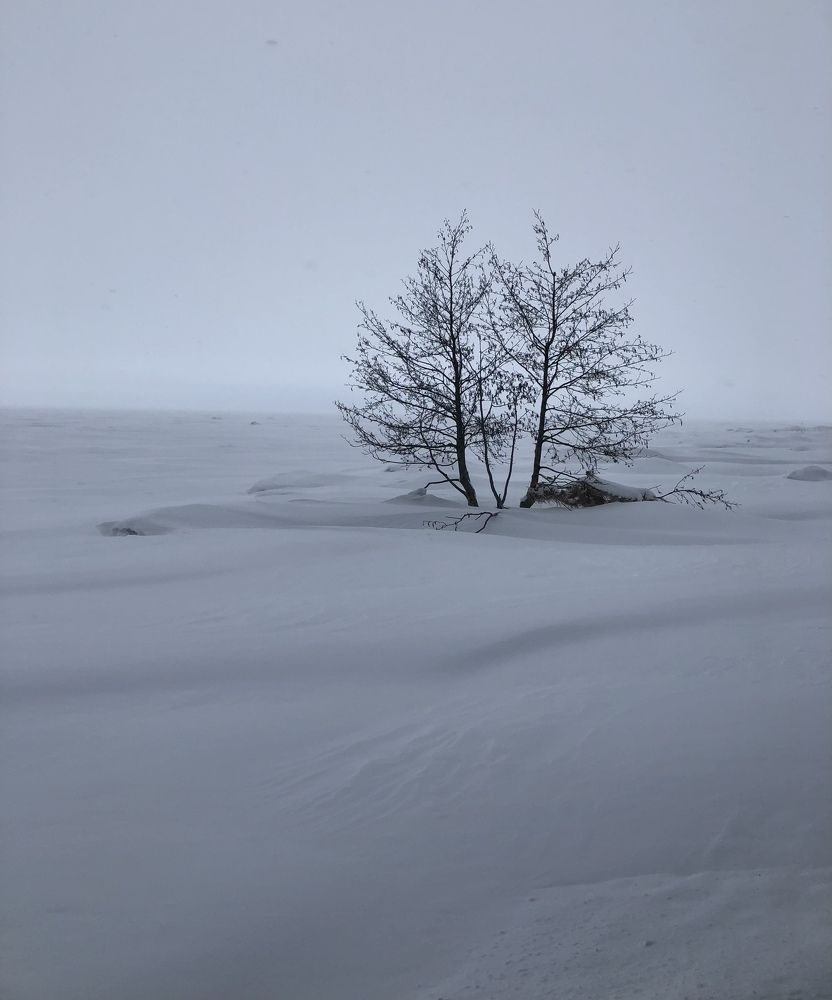 Photograph by Мария Бессмертная