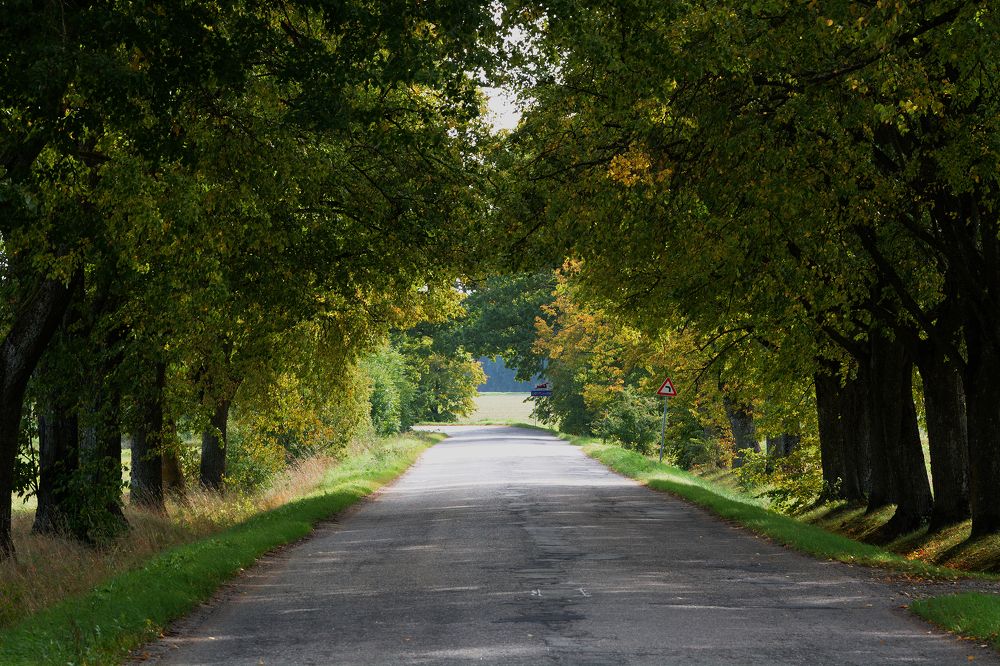 Photograph by Intars Supins