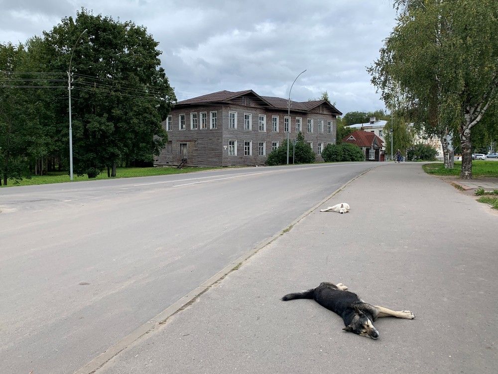 Photograph by Наталия Тарасова