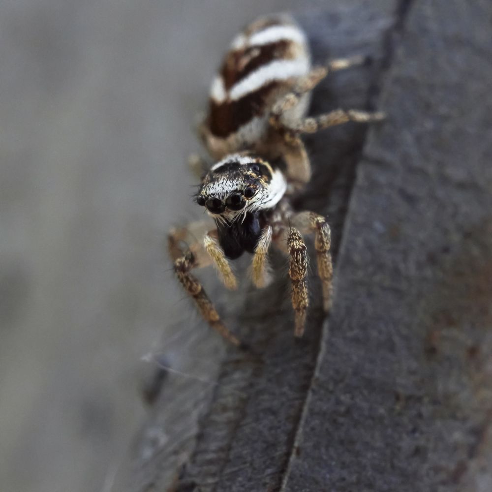 Photograph by Сергей Цюцюцра