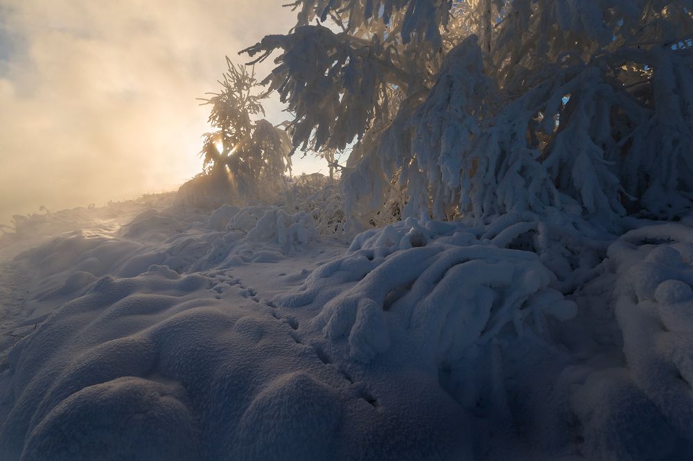 Photograph by Ярослав Лукьянов