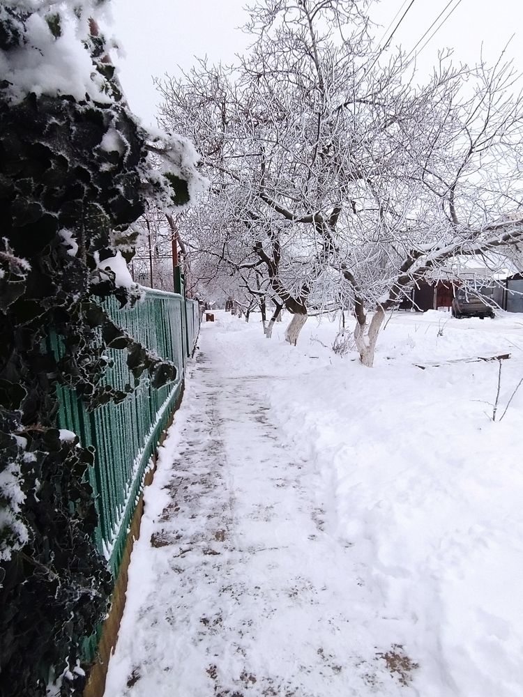 Photograph by Litvinova Ann