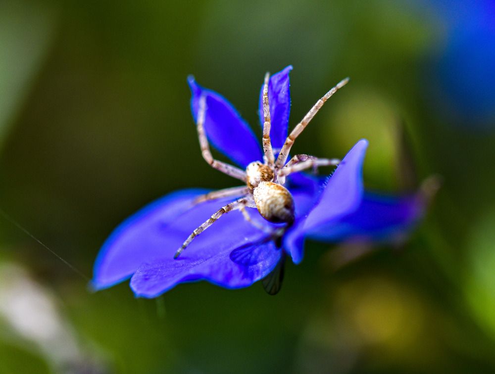 Photograph by Наталья