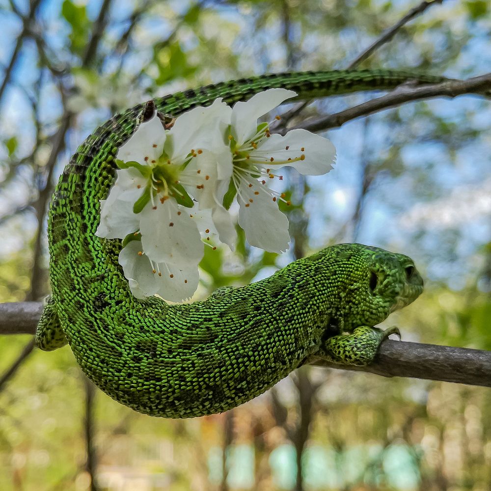 Photograph by Notably Dreams