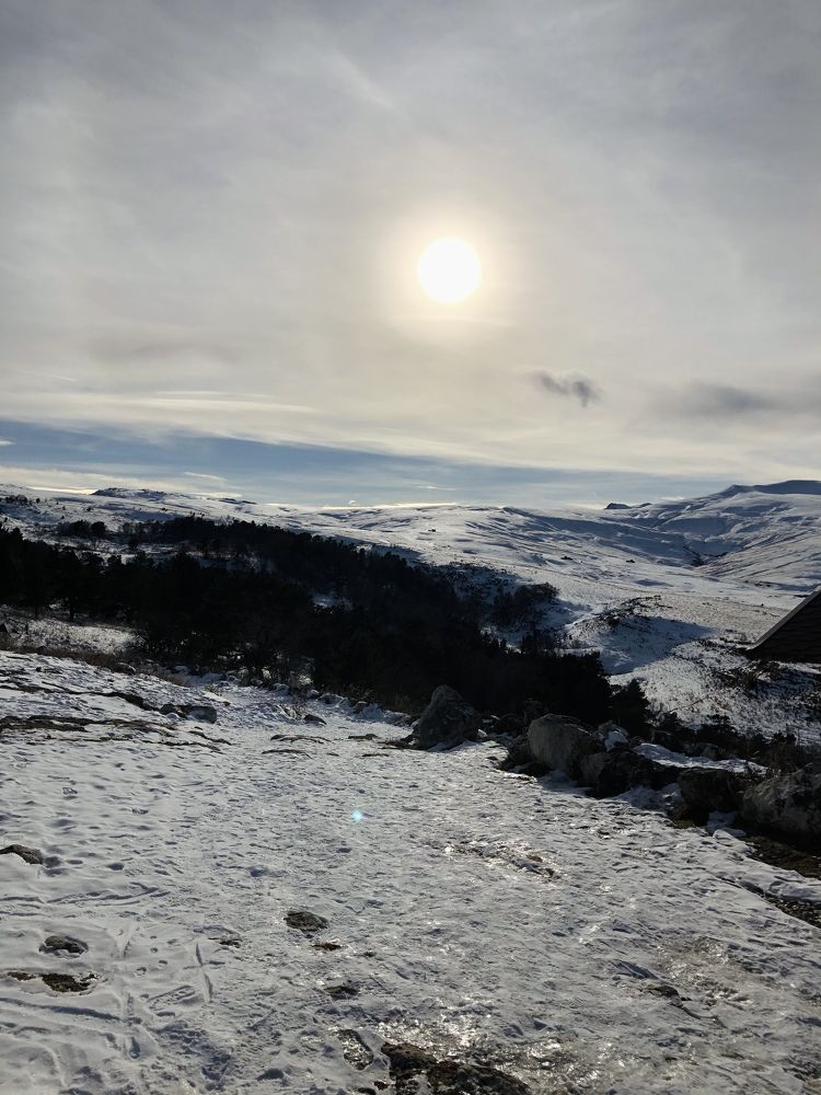 Photograph by Евгения Куристова