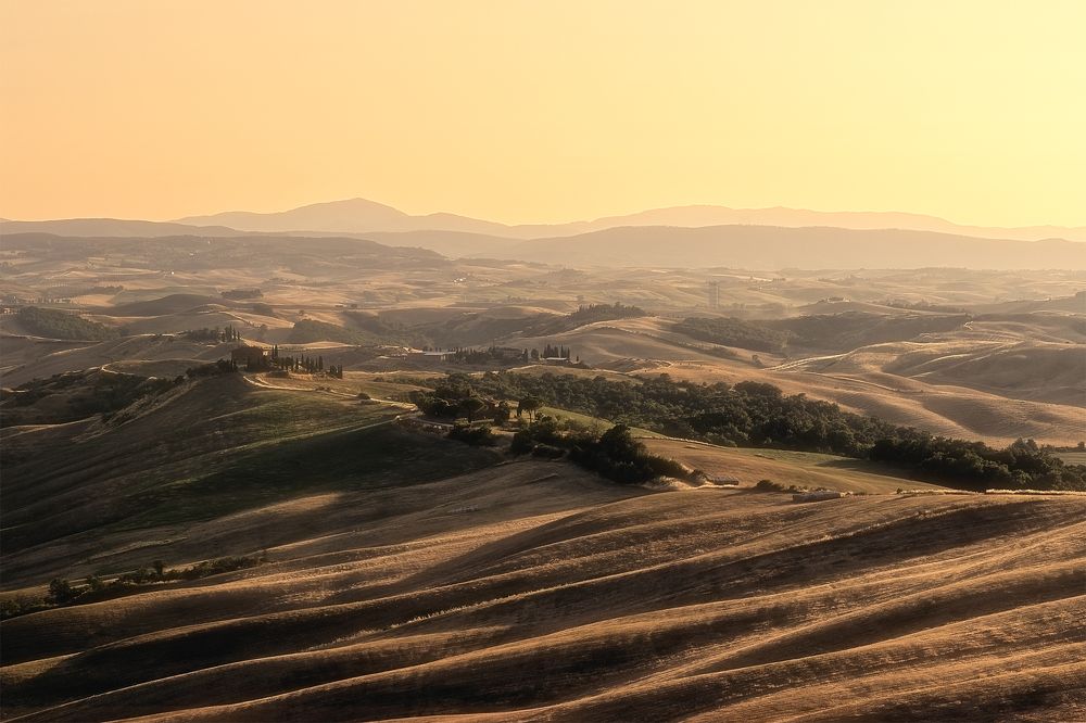 Photograph by Simon Rohl