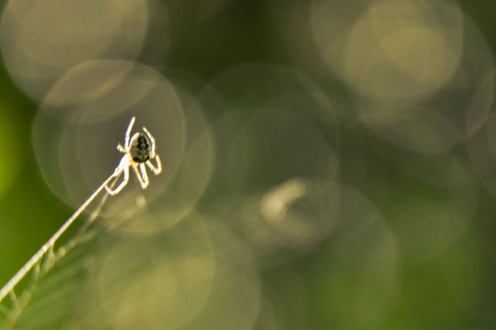 Photograph by Karolina Navodnik