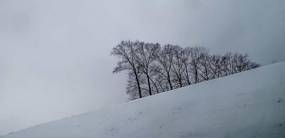 Photograph by Notably Dreams