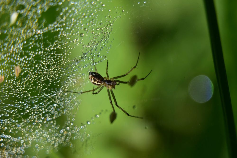 Photograph by Karolina Navodnik