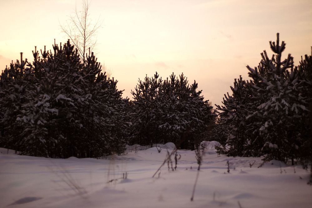 Photograph by Ирина Мамонова