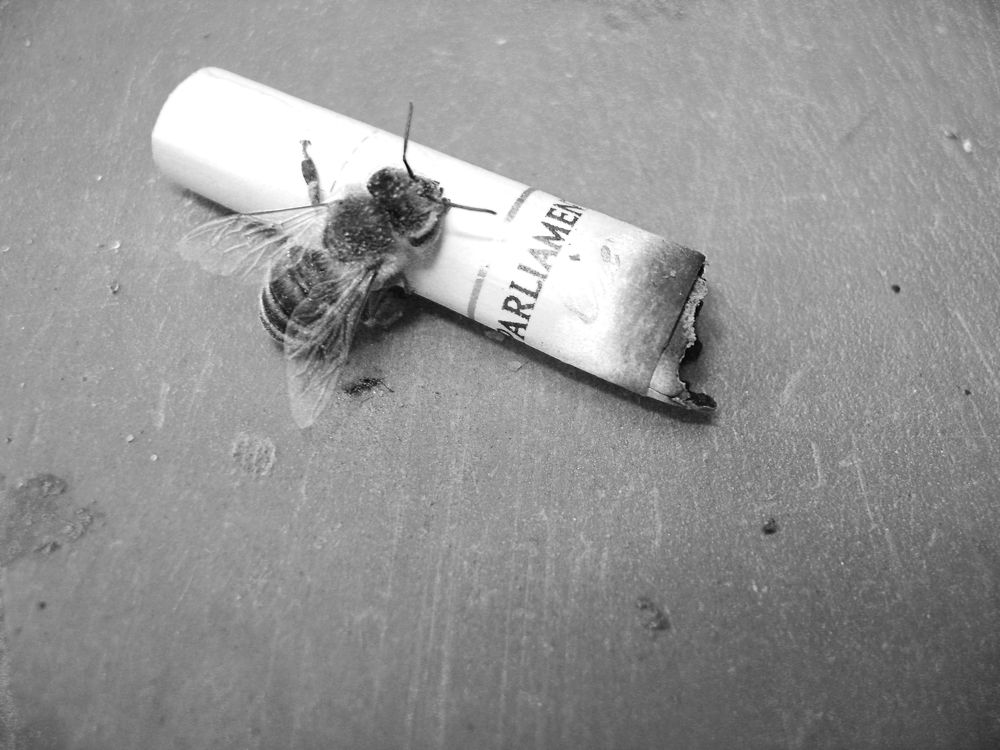 Photograph by Мари