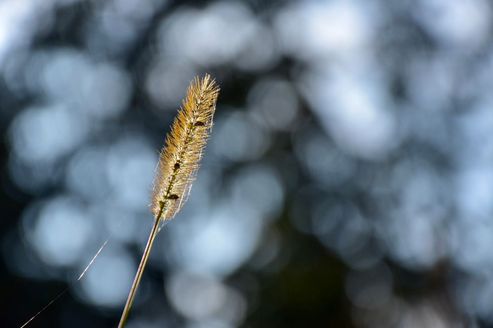 Photograph by Karolina Navodnik