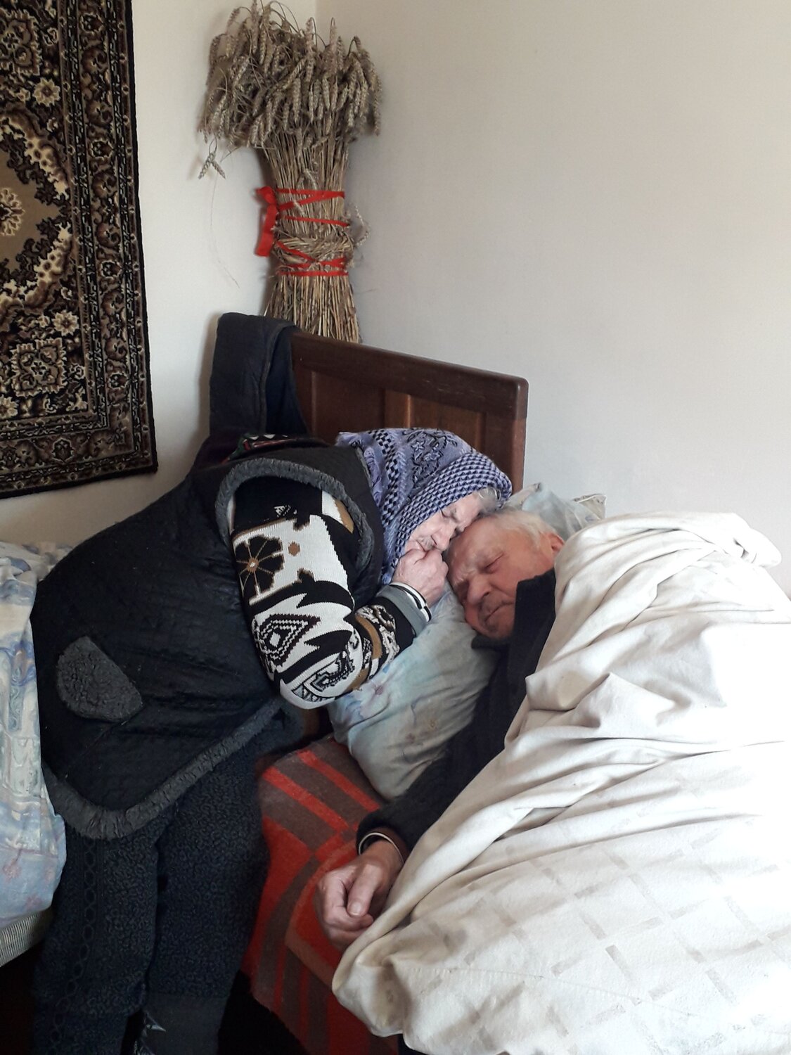 Photo #7164347