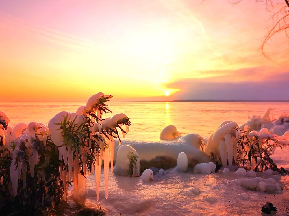 Photograph by Olga Asson