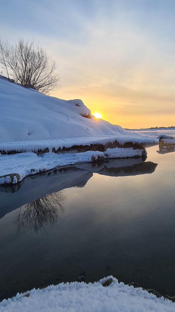 Photograph by Елена Григорьева
