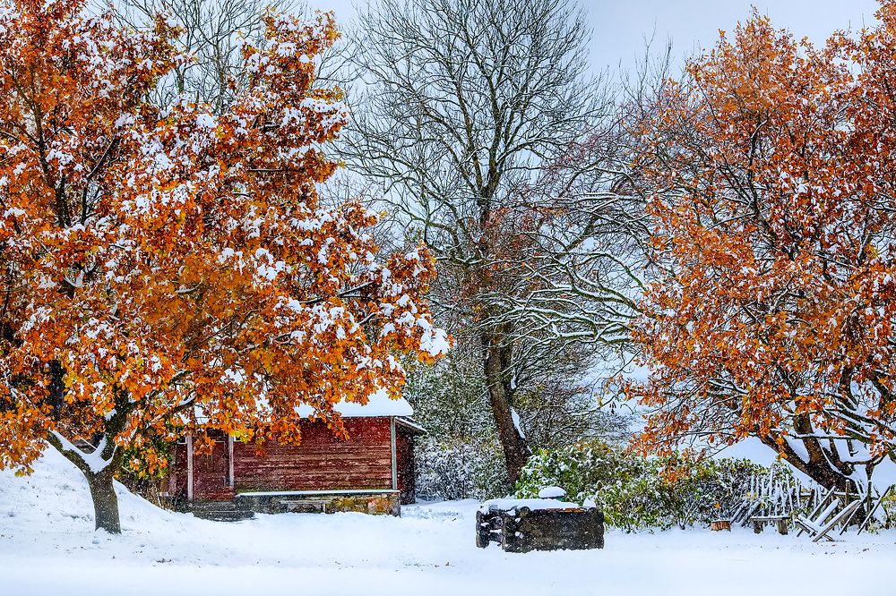 Встреча осени с зимой.