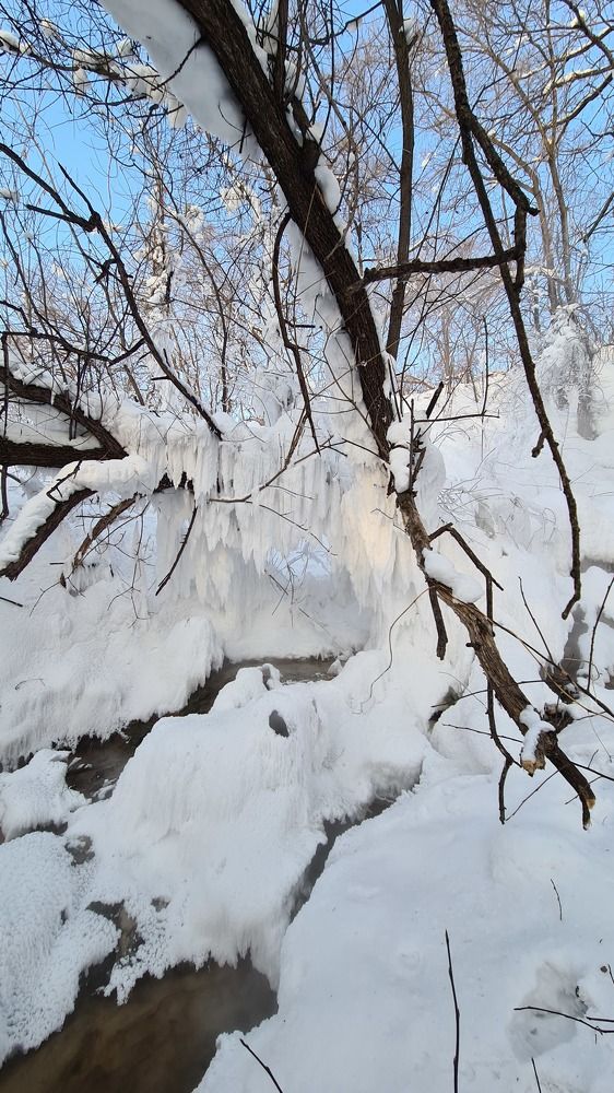 Photograph by Елена Григорьева