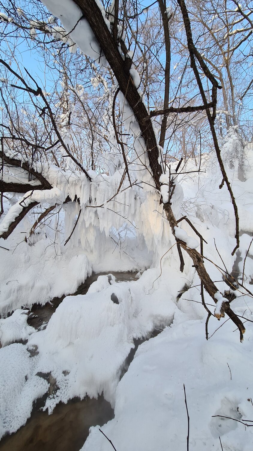 Photo #7164392