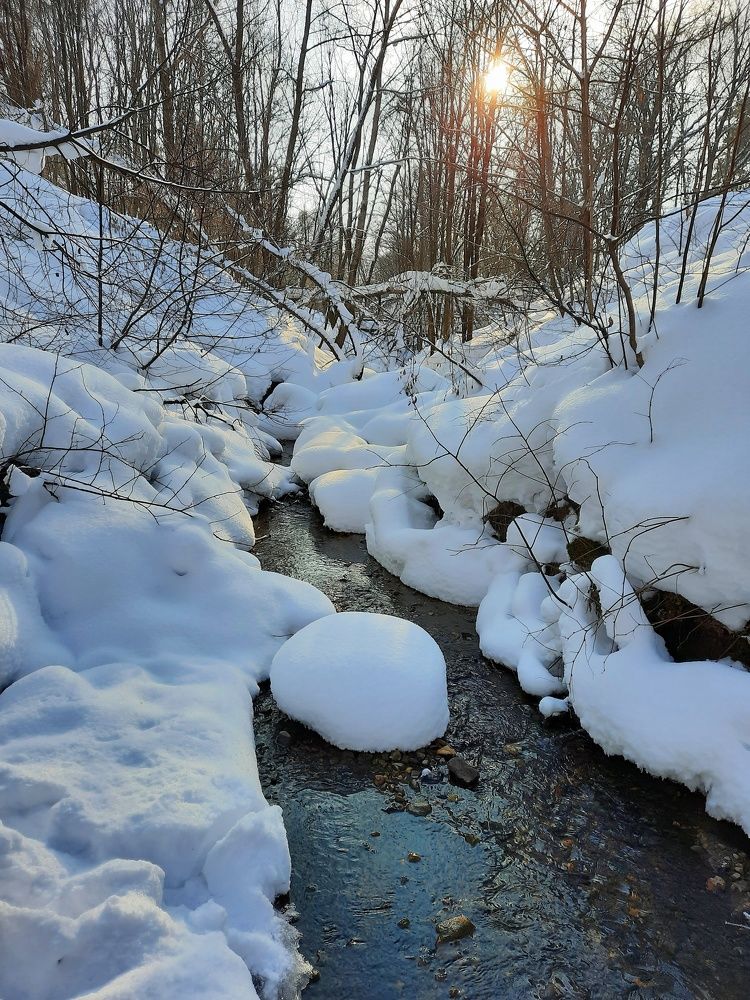 Photograph by Галина Шипухина