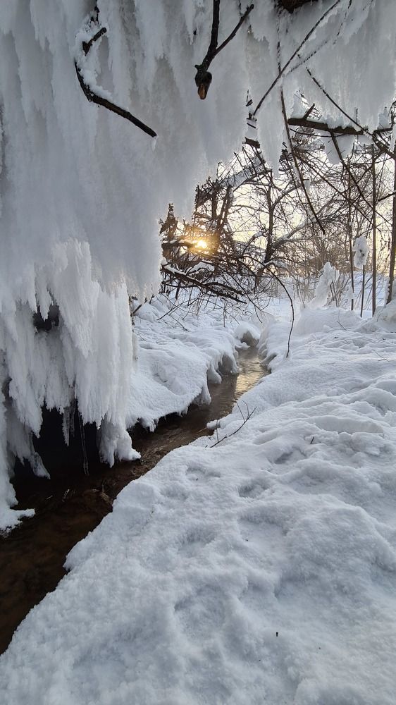 Photograph by Елена Григорьева