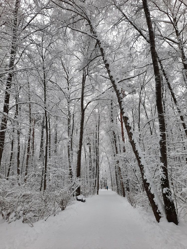 Photograph by Галина Шипухина